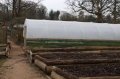 rows of beds and a polytunnel small